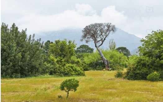 4 Bedroom house in Loresho